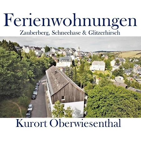 Ferienwohnungen Zauberberg, Schneehase & Glitzerhirsch Oberwiesenthal Exterior photo