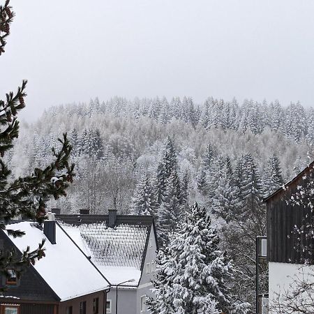Ferienwohnungen Zauberberg, Schneehase & Glitzerhirsch Oberwiesenthal Exterior photo